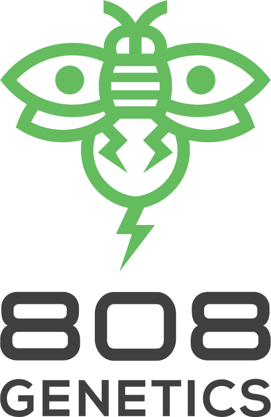808 Genetics bee logo