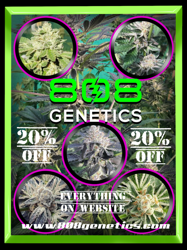 808 Genetics