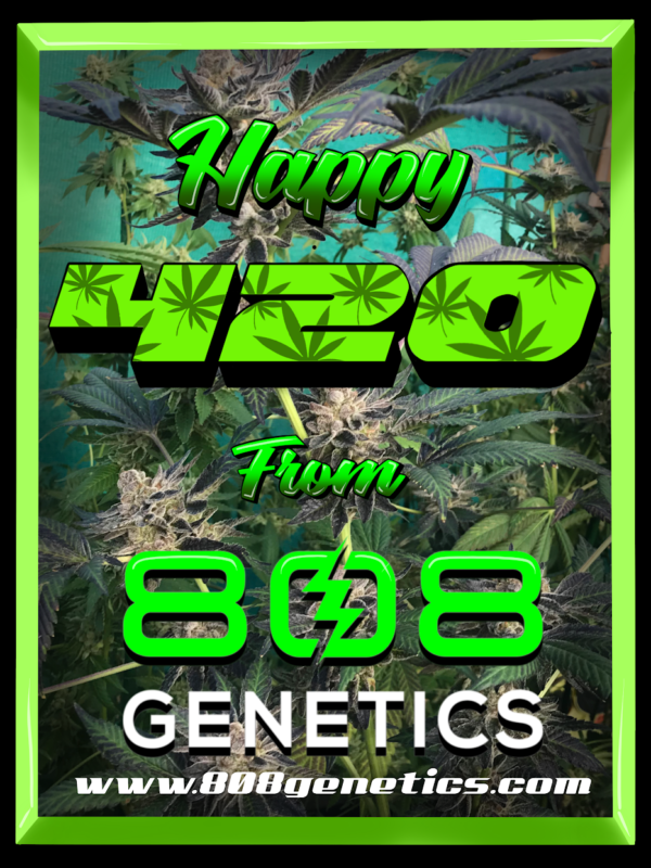808 Genetics