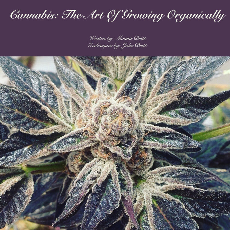 808 Genetics