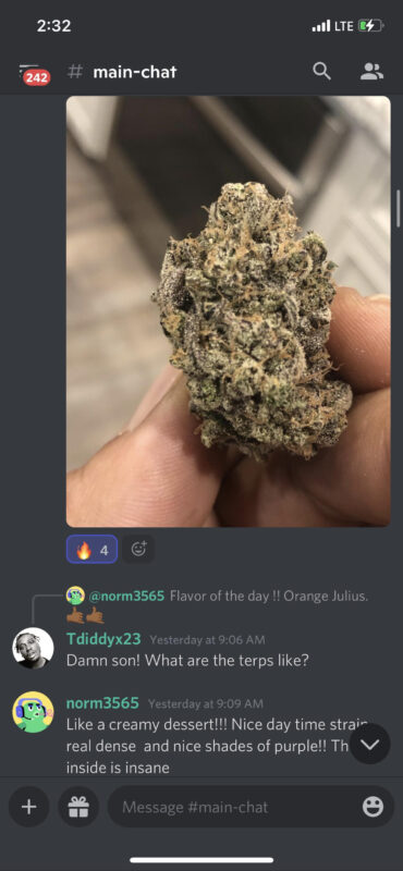 808 Genetics