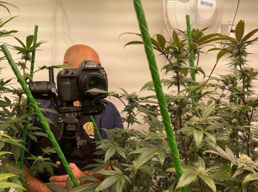 808 Genetics
