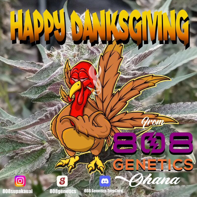 808 Genetics