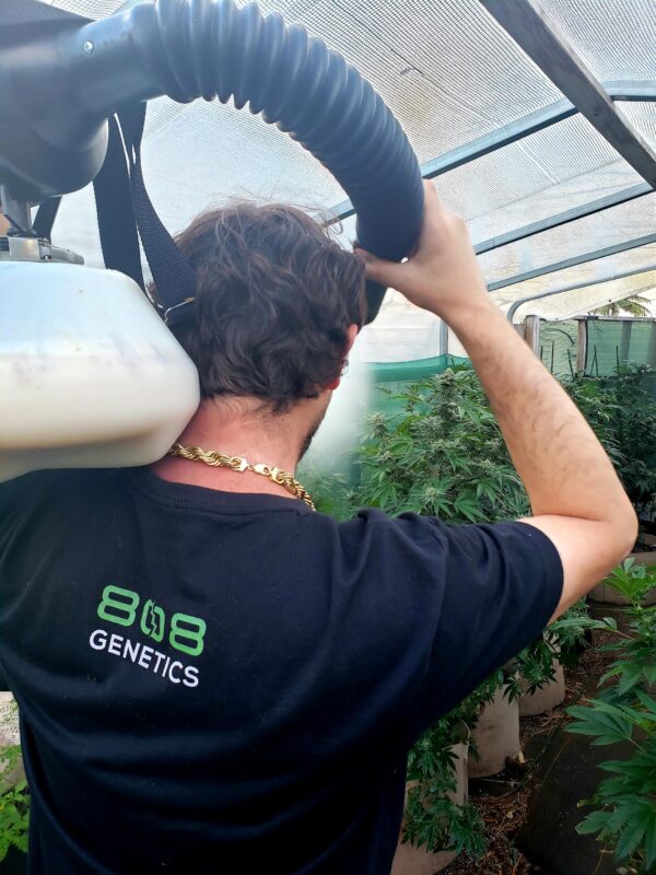 808 Genetics